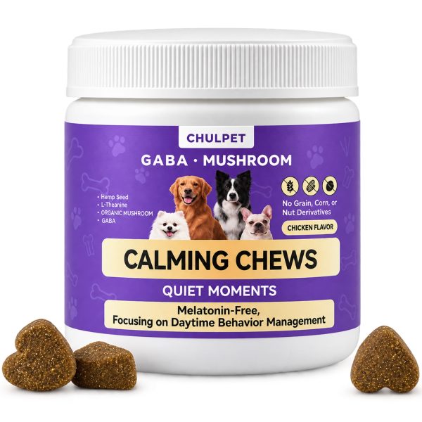 Dog Calming Chews Non Drowsy | Melatonin-Free GABA + L-Theanine + Organic Lion’s Mane | Supports Calm Relaxed Behavior During Travel, Routine Changes & Visitors | Chicken Flavor, 100 Chews
