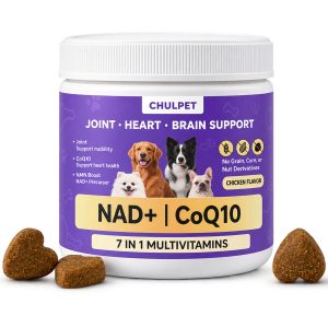 NAD+ CoQ10 Multivitamin Soft Chews for Dogs, Joint & Heart Support NMN+Resveratrol+CoQ10 for Cellular Energy Full-Spectrum Multivitamin & Joint Support. Chicken Flavor, 100 Chews