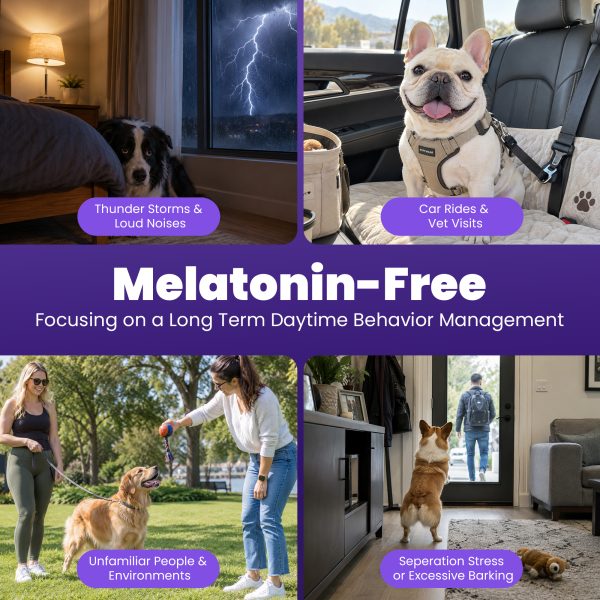 Dog Calming Chews Non Drowsy | Melatonin-Free GABA + L-Theanine + Organic Lion’s Mane | Supports Calm Relaxed Behavior During Travel, Routine Changes & Visitors | Chicken Flavor, 100 Chews
