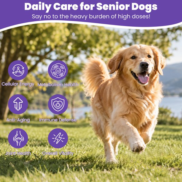 NAD+ CoQ10 Multivitamin Soft Chews for Dogs, Joint & Heart Support NMN+Resveratrol+CoQ10 for Cellular Energy Full-Spectrum Multivitamin & Joint Support. Chicken Flavor, 100 Chews