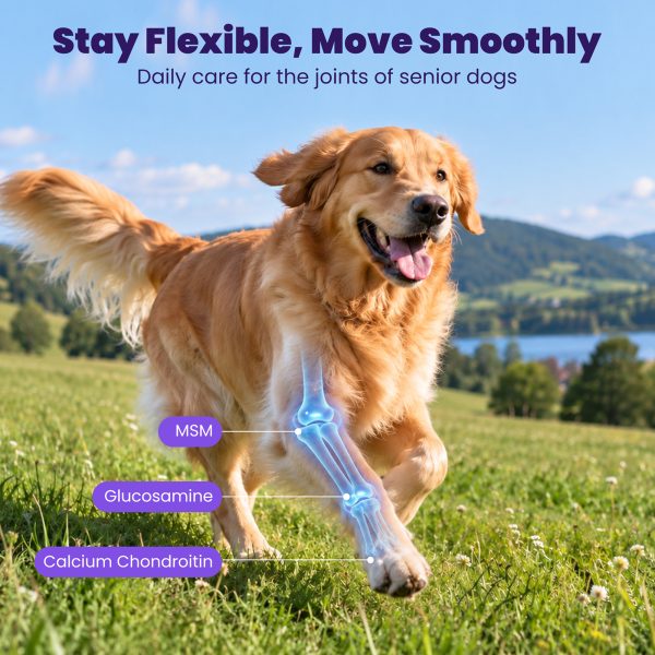 NAD+ CoQ10 Multivitamin Soft Chews for Dogs, Joint & Heart Support NMN+Resveratrol+CoQ10 for Cellular Energy Full-Spectrum Multivitamin & Joint Support. Chicken Flavor, 100 Chews