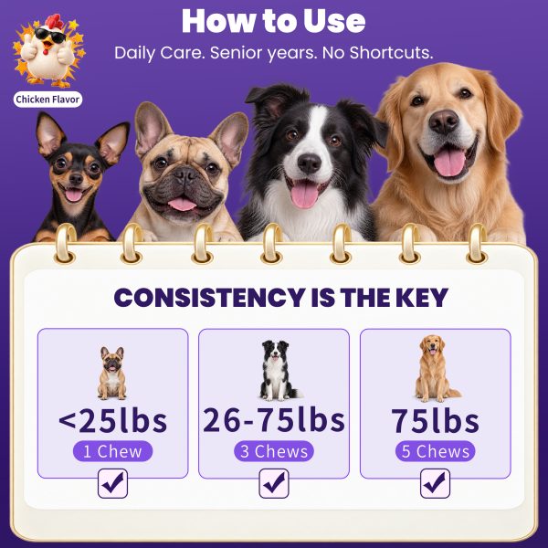 Dog Calming Chews Non Drowsy | Melatonin-Free GABA + L-Theanine + Organic Lion’s Mane | Supports Calm Relaxed Behavior During Travel, Routine Changes & Visitors | Chicken Flavor, 100 Chews