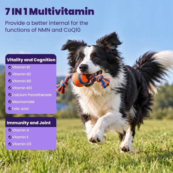 NAD+ CoQ10 Multivitamin Soft Chews for Dogs, Joint & Heart Support NMN+Resveratrol+CoQ10 for Cellular Energy Full-Spectrum Multivitamin & Joint Support. Chicken Flavor, 100 Chews